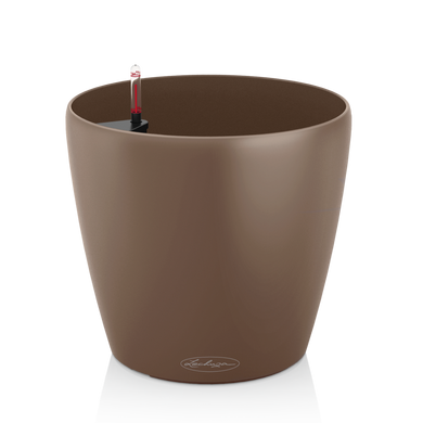 CLASSICO Color 18 nutmeg